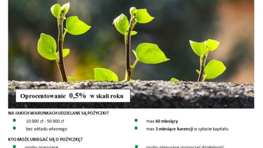 Od pomysłu do biznesu