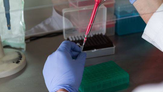 Odszkodowanie za błędną diagnozę nowotworu