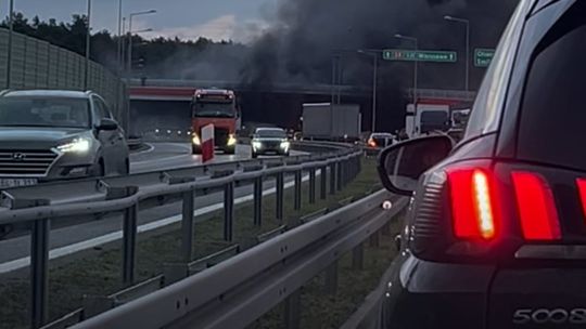 Ogień pod wiaduktem. Trudna akcja strażaków na drodze S8