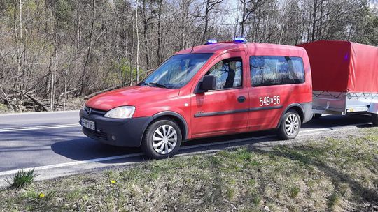 OSP Ludwików na pomoc rannemu zwierzęciu 
