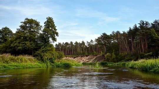 Ostrzeżenie hydrologiczne po przekroczeniu stanów alarmowych Pilicy