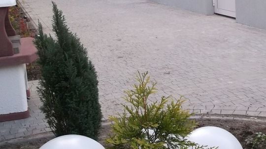 Otwarcie Domu Dziennego Pobytu dla Seniorów