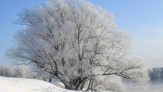 Padły kolejne rekordy zimna; dzisiejsza noc ma być cieplejsza