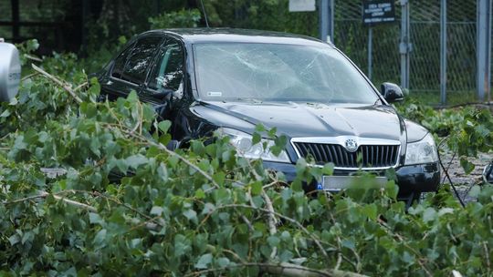 Państwowa Straż Pożarna: 3 036 zdarzeń atmosferycznych do godz. 20.00