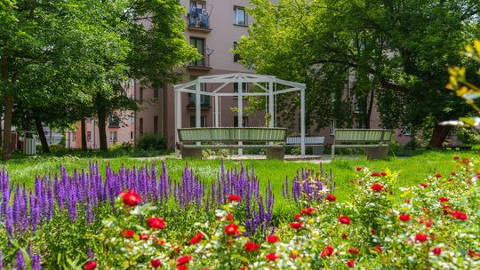 Park Różany powstał na  ul. Zagajnikowej i Akacjowej