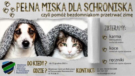 Pełna miska dla schroniska” – jak pomóc bezdomniakom przeżyć zimę