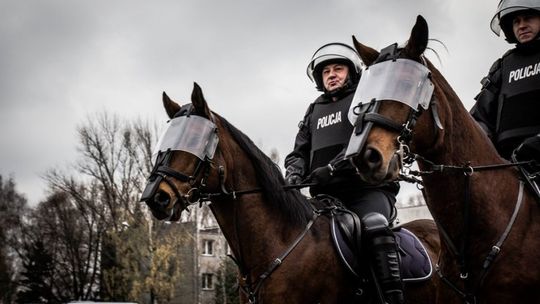 Pełnią służbę na czterech nogach