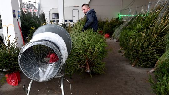 Personnel Service: mimo niepewności biznes świąteczny zatrudnia nowych pracowników