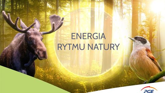 PGE Polska Grupa Energetyczna zaprasza do odwiedzania polskich parków narodowych