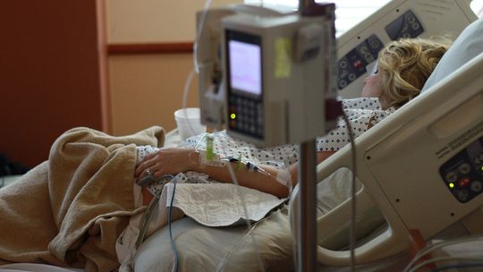 Pierwszy w Polsce zabieg z wykorzystaniem utrwalonej zastawki biologicznej