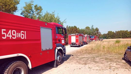 Płoną pola i nieużytki