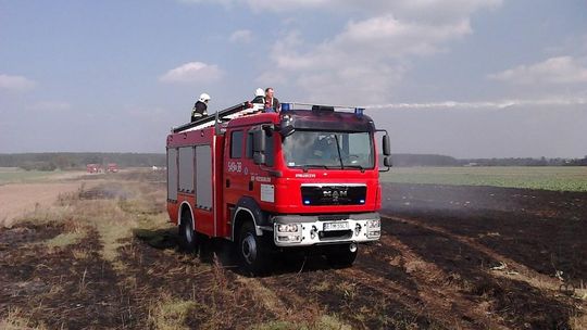 Płoną trawy