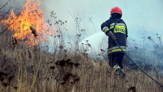 Płoną trawy. Tomaszowscy strażacy co roku mają co robić