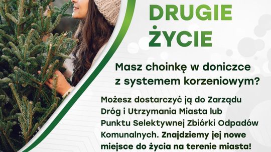 Podaruj świątecznemu drzewku drugie życie