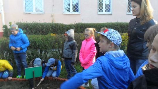 "Pola Nadziei" na Stolarskiej