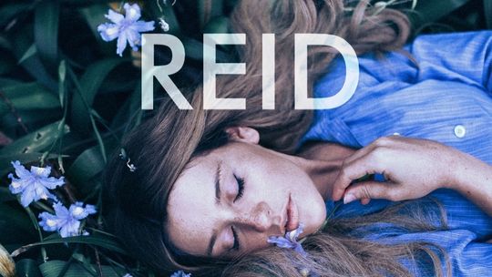 Polecamy: Taylor Jenkins Reid "Na zawsze, ale z przerwą"