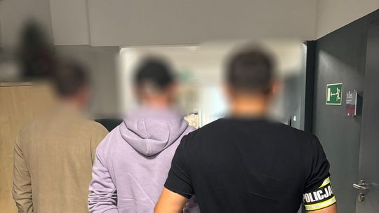 Policja zlikwidowała uprawę konopi w gminie Paradyż. 24-latek z zarzutami