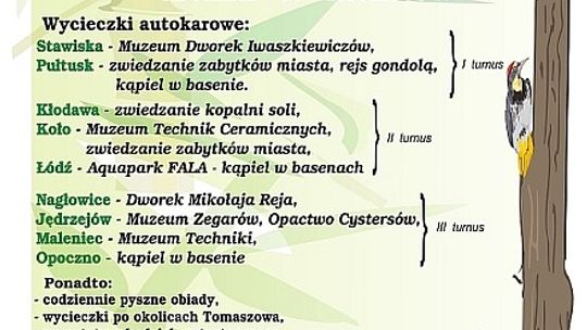 Półkolonie z MOK-iem