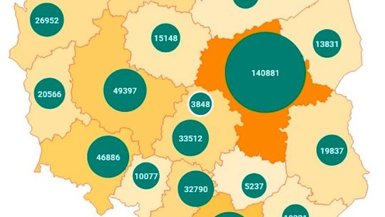 Polska gospodarka potrzebuje cudzoziemców