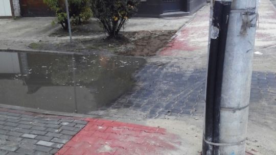 Popękany "całokształt" Barlickiego