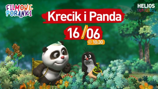 Poranek z krecikiem