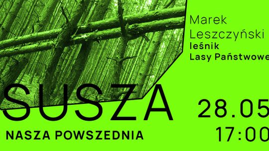 Porozmawiajmy o leśnym królestwie
