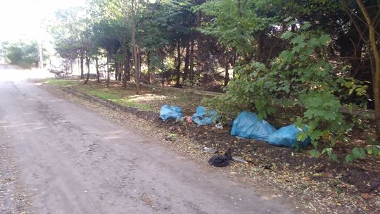 Posprzątali, tylko trzeba... uprzątnąć