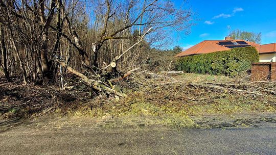 Powalone drzewa — strażacy w gotowości, sprawdź ostrzeżenia IMGW