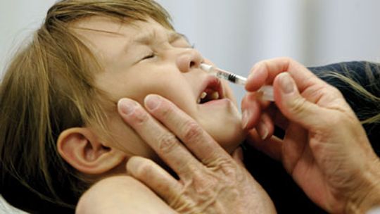 Powermed to sposób na świńską i ptasią grypę