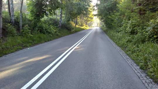 Powiatówką do lasu 