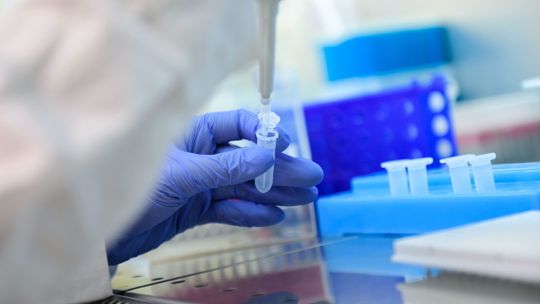 Powstaje nowa szczepionka mRNA, m.in. przeciwko boreliozie