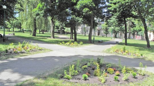 Powstanie siłownia na świeżym powietrzu