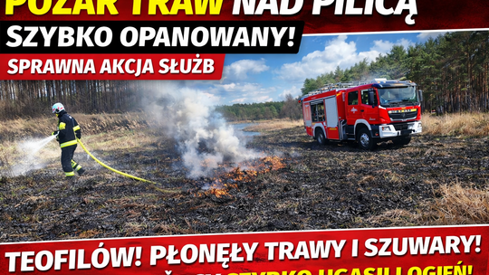 Pożar traw nad Pilicą szybko opanowany. Sprawna akcja służb