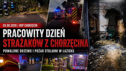 Pracowity dzień strażaków z Chorzęcina. Powalone drzewo i pożar stolarni w Łazisku