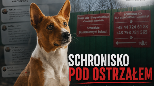Pracuje trochę ponad miesiąc. Ktoś próbuje ją zaszczuć. Niebawem nowe Schronsiko - czy to zaplanowana akcja?