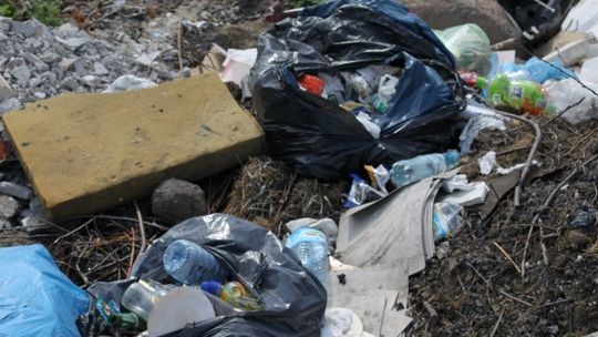 Prawie ćwierć wieku sprzątamy świat i... wciąż jest co sprzątać