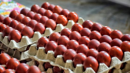 Producenci drobiu: pod koniec roku jaja mogą być droższe o kilkadziesiąt procent
