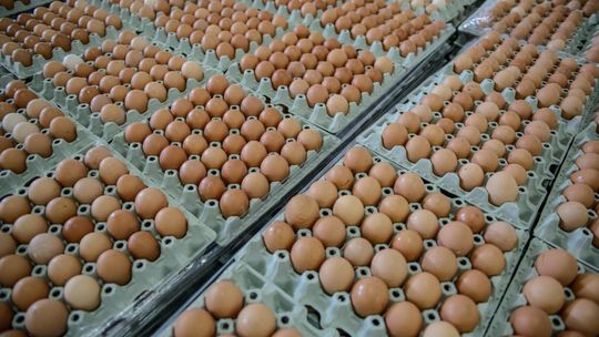 Producenci jaj: będzie drożej, ceny jaj w hurcie rosną
