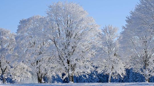 Prognoza pogody na 10 i 11 stycznia