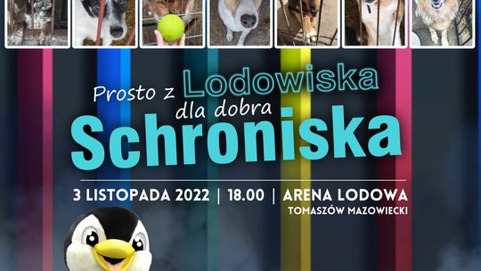 PROSTO Z LODOWISKA -  DLA DOBRA SCHRONISKA