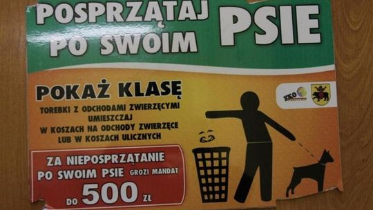 Przejaw zwyczajnej głupoty