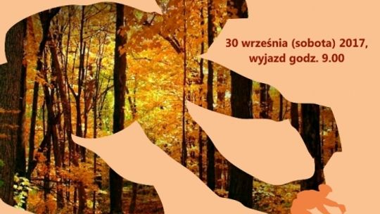 Przejechać się brzegiem Pilicy
