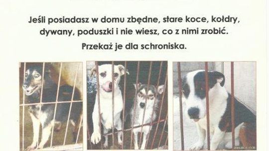 Przekaż schronisku