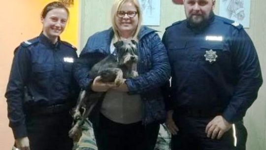 Przygarnęli pieska