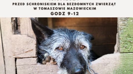 Przyjdź i podpisz
