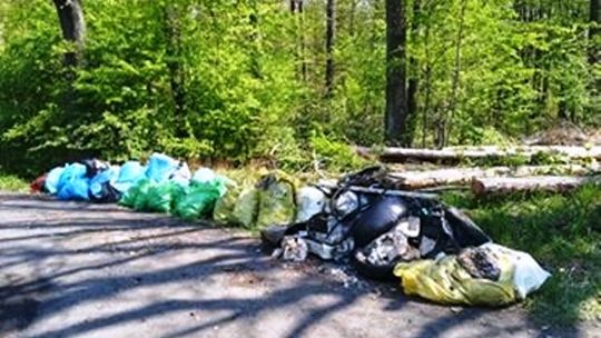 Przykład dobrych praktyk sąsiedzkich