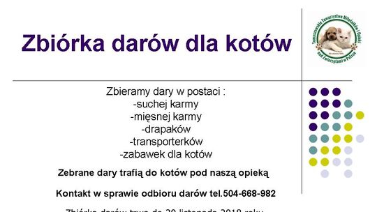 Przyłącz się do zbiórki karmy dla kotów