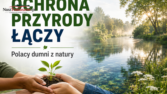 Przyroda ponad polityką. Raport pokazuje, że Polaków wciąż łączy coś więcej niż spór