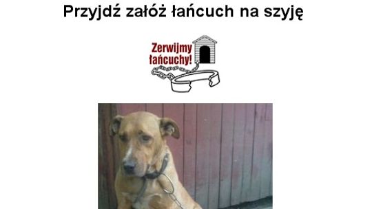 Przywiąż psa do siebie, nie do budy