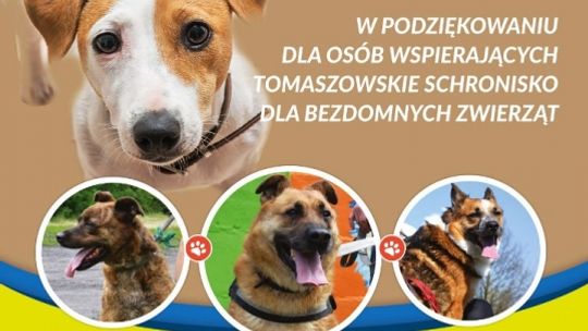 „Psiaki bezdomniaki”. Festyn na pl. Kościuszki